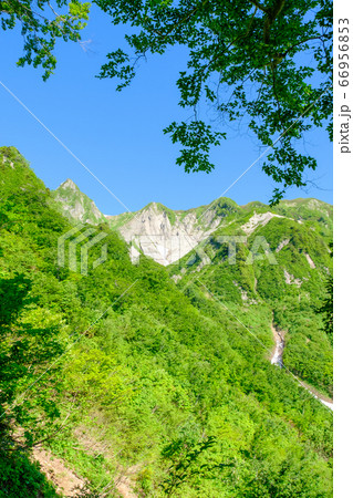 初夏の雨飾山登山（小谷温泉コース）：登山道から布団菱を望む 66956853