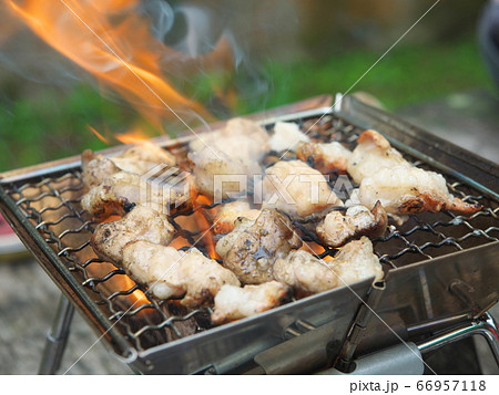 登山でBBQ・黒毛和牛焼肉(ホルモン) 登山でBBQ・黒毛和牛焼肉(ホルモン) 66957118