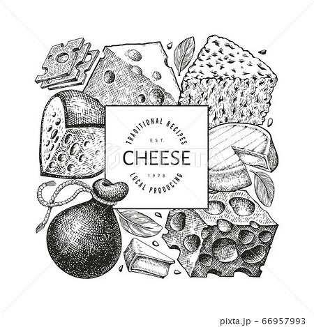 Cheese design template. Hand drawn vector dairy 66957993