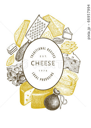 Cheese design template. Hand drawn vector dairy 66957994