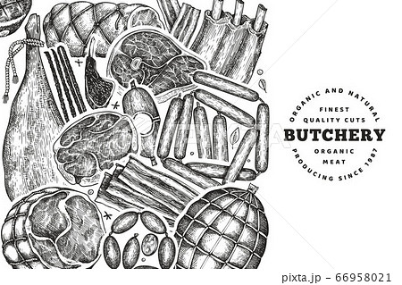 Vintage vector meat products design template. Hand Vintage vector meat products design template. Hand 66958021