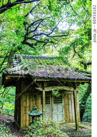 新緑の富川渓谷 奥の院 万年の森 【長崎県諫早市】 新緑の富川渓谷 奥の院 万年の森 【長崎県諫早市】 66958162