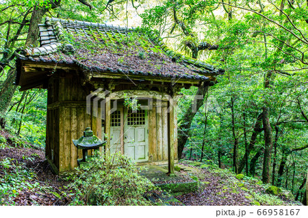 新緑の富川渓谷　奥の院　万年の森　【長崎県諫早市】 66958167