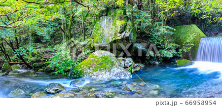 新緑の富川渓谷　治山ダムと渓流　万年の森　パノラマ　【長崎県諫早市】 66958954