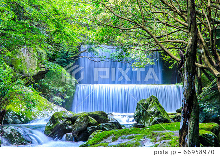 新緑の富川渓谷　治山ダムと渓流　万年の森　【長崎県諫早市】 66958970