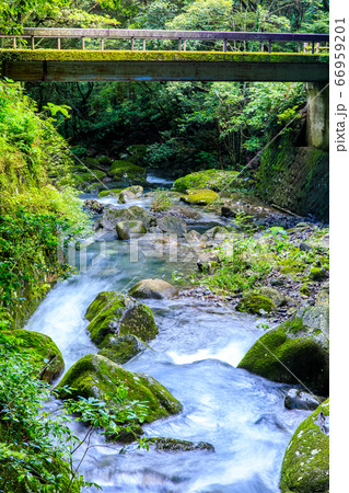 新緑の富川渓谷　富川橋と渓流　万年の森　【長崎県諫早市】 66959201