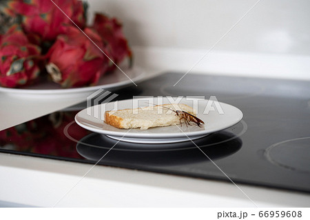 A cockroach is sitting on a piece of bread in a A cockroach is sitting on a piece of bread in a 66959608