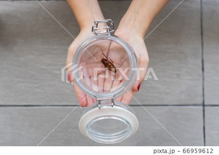 The girl holds on her palm a glass jar with a 66959612