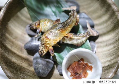 川床料理 66960484
