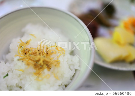 川床料理 川床料理 66960486