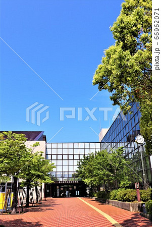 泉大津市総合体育館 泉大津市総合体育館 66962071
