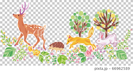 木、花、草などの植物と動物　イラスト 66962589