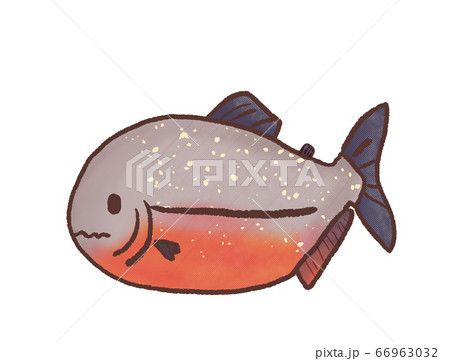 R メルヘンな水族館 ピラニア 2のイラスト素材
