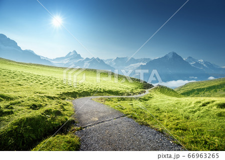Grindelwald valley from the top of First mountain, Grindelwald valley from the top of First mountain, 66963265