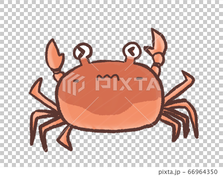 R:童話水族館Sawagani變形1 R:童話水族館Sawagani變形1 66964350