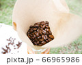 コーヒー豆 66965986