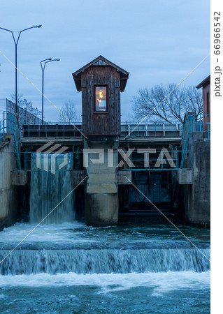 Old water plant closeup 66966542