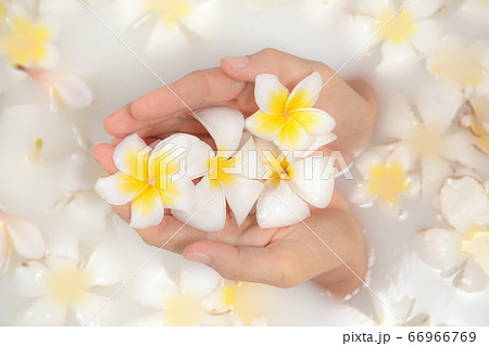 Spa concept Spa concept 66966769