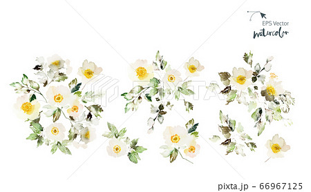 Set of vector watercolor elements with flowers 66967125