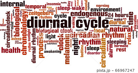 Diurnal cycle word cloud 66967247