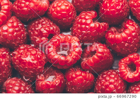Macro of Fresh raspberries 66967290