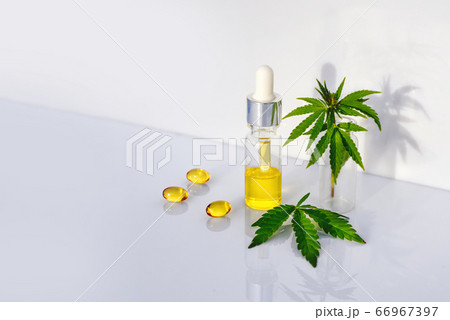 Pharmaceutical CBD oil, capsules on white laboratory table with cannabis leaves 66967397