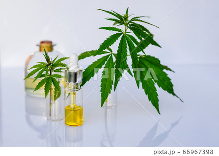 Pharmaceutical CBD oil and cannabis tincture on a white laboratory desk Pharmaceutical CBD oil and cannabis tincture on a white laboratory desk 66967398