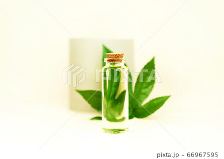 Glass bottle with herbal CBD oil, THC tincture and hemp leaf on pastel beige background. Glass bottle with herbal CBD oil, THC tincture and hemp leaf on pastel beige background. 66967595