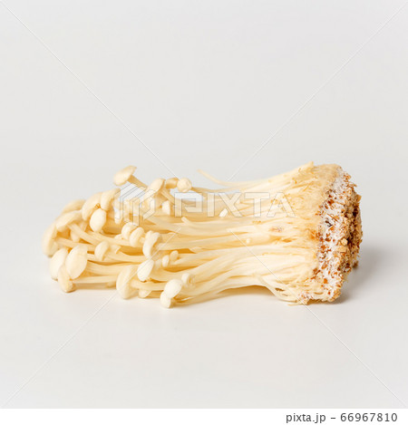 Heap of little white enoki mushrooms on neutral white background, close-up 66967810