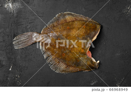 Frozen flounder without head 66968949