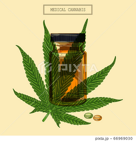 Medical Cannabis Leaf And Vial And Pillsのイラスト素材