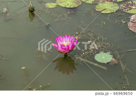 自然 風景 韓国 66969650