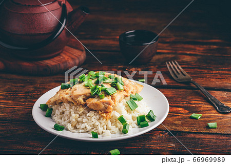 Oyakodon dish on white plate Oyakodon dish on white plate 66969989