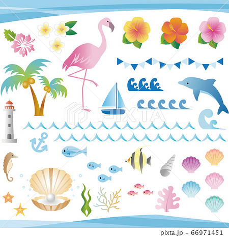 夏 海 南国 トロピカル イラスト素材セットのイラスト素材