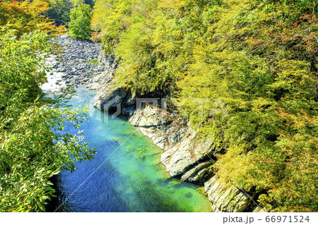 中津川の清流 66971524