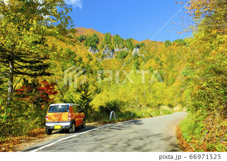 秋の奥志賀林道 66971525