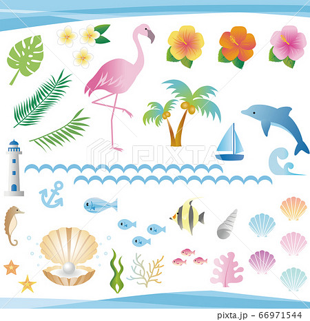 夏 海 南国 トロピカル イラスト素材セットのイラスト素材