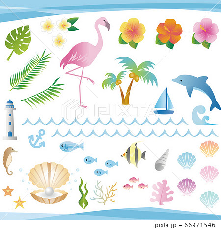 夏 海 南国 トロピカル イラスト素材セットのイラスト素材