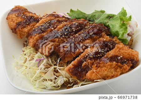 ソースカツ丼 66971738