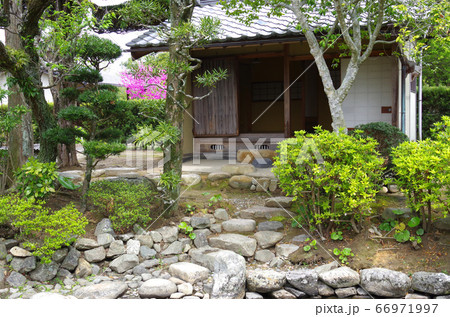 萩旧湯川家屋敷の庭園の立ち木と建物の景色 66971997