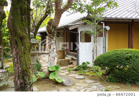 萩旧湯川家屋敷の庭園の立ち木と建物の景色 66972001