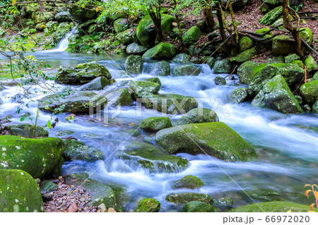 新緑の富川渓谷　万年の森の渓流　【長崎県諫早市】 66972020