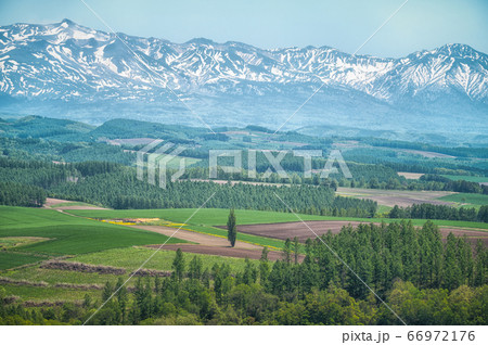 新栄の丘から眺める十勝岳連邦 新栄の丘から眺める十勝岳連邦 66972176