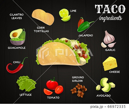 Tacos Ingredients Mexican Fast Food Vectorのイラスト素材