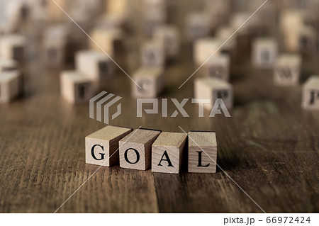 GOAL ゴール GOAL ゴール 66972424