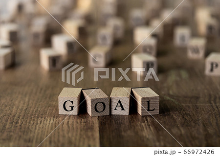 GOAL ゴール 66972426