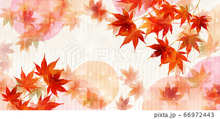 紅葉 もみじ 秋 背景のイラスト素材