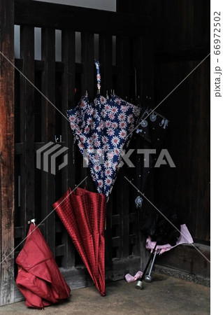 雨傘 雨傘 66972502