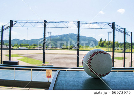 バックネットから全景 バックネットから全景 66972979