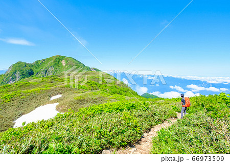 初夏の雨飾山登山（笹平と雨飾山山頂・遠方に朝日岳） 66973509